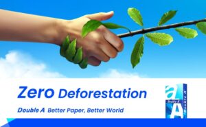 resize_Poland_Banner_1-642×395px